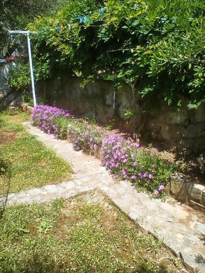 Apartman-Maja-Krk Krk Town Exterior photo